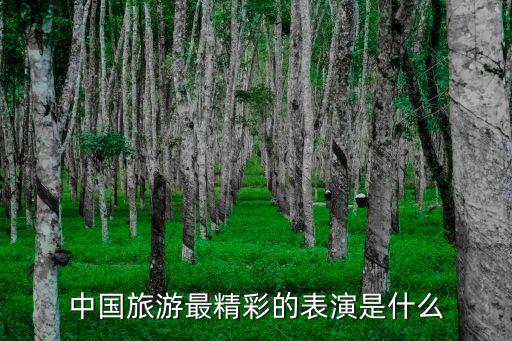 中国旅游最精彩的表演是什么