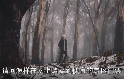 请问怎样在网上购买到便宜的景区门票