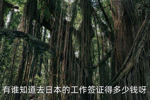 日本工签办理费用是多少，出国劳务到日本办签证要多钱