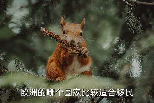 欧洲的哪个国家比较适合移民