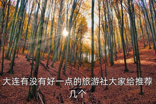 大连好的旅行社，大连有没有好一点的旅游社大家给推荐几个