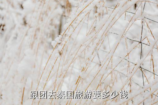 去泰国旅行多少钱跟团游，我想去泰国旅游跟团去要多少钱