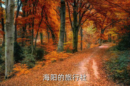 海阳的旅行社