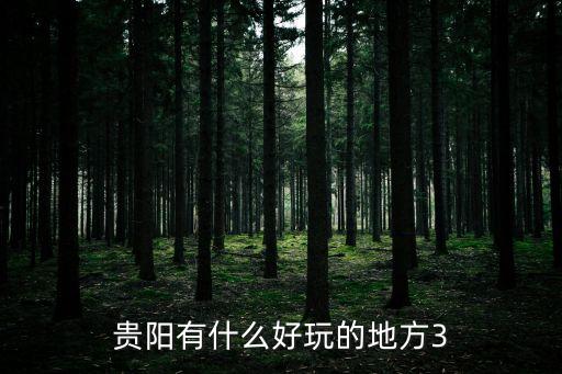 贵阳有什么好玩的地方3