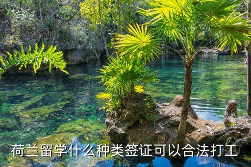 荷兰留学什么种类签证可以合法打工