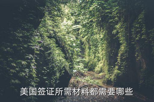 美国签证要什么，办理美国签证的时候需要带哪些资料呀