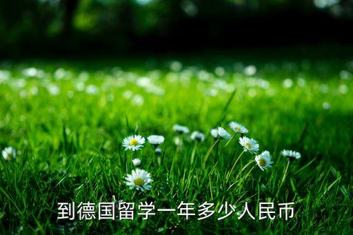 到德国留学一年多少人民币