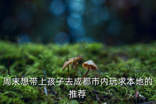 周末想带上孩子去成都市内玩求本地的推荐