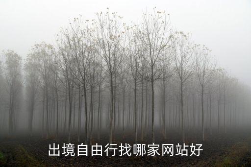 出国平台哪家好，有那些比较好的出国留学缴费平台易思汇farrerpay留洋汇哪个好