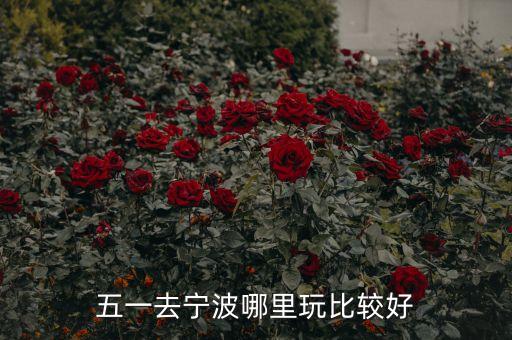 五一去宁波哪里玩比较好