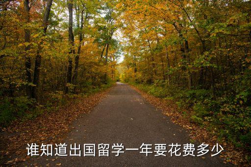 谁知道出国留学一年要花费多少