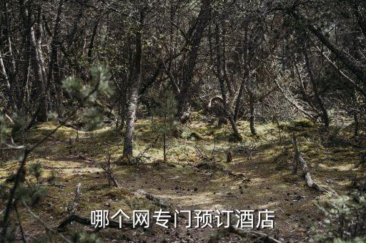 哪个网专门预订酒店