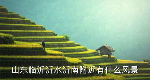 山东临沂沂水沂南附近有什么风景