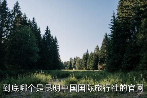 到底哪个是昆明中国国际旅行社的官网