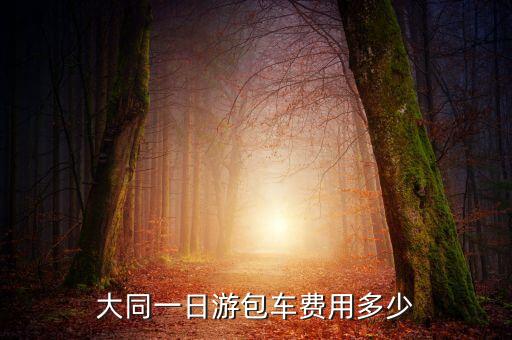 大同一日游包车费用多少