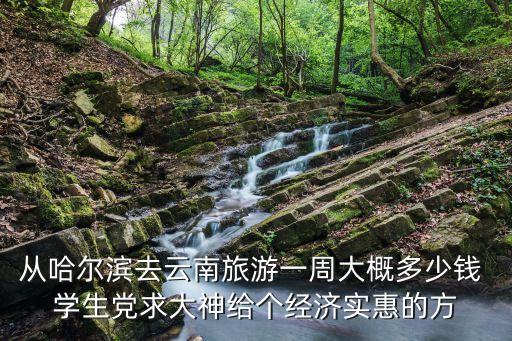 哈尔滨到云南旅游团报价暑期，从哈尔滨去云南旅游一周大概多少钱 学生党求大神给个经济实惠的方