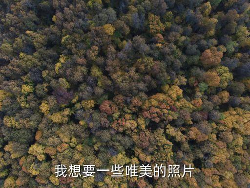 我想要一些唯美的照片