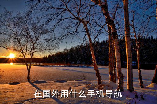 在国外用哪个导航软件比较好，在国外用什么手机导航