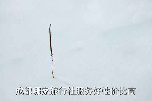 成都哪家旅行社服务好性价比高