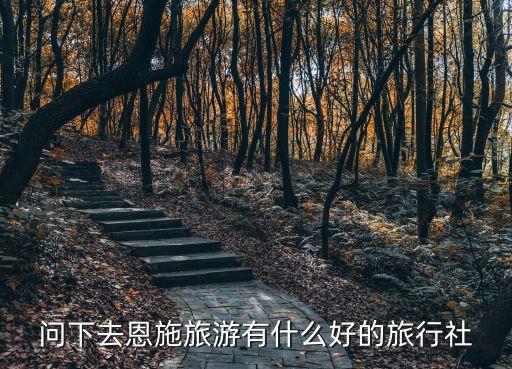 恩施本地旅行社哪家好，恩施的旅行社哪家比较多人找有口碑好的推荐下吗