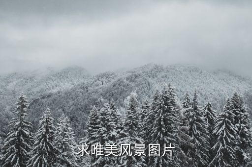 求唯美风景图片