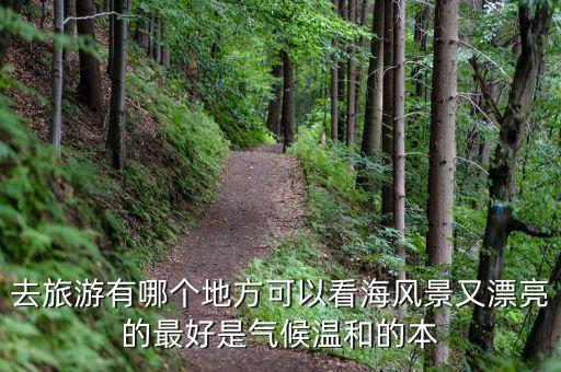 适合大学生看海的旅游景点，中国哪个海边城市适合暑期学生去旅游的 消费合理又风景秀丽的