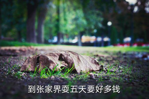 张家界5天4晚1680双人游，到张家界耍五天要好多钱