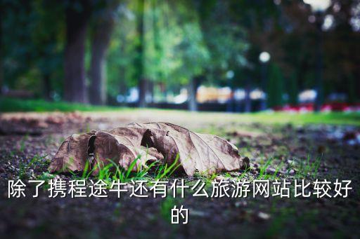 除了携程途牛还有什么旅游网站比较好的