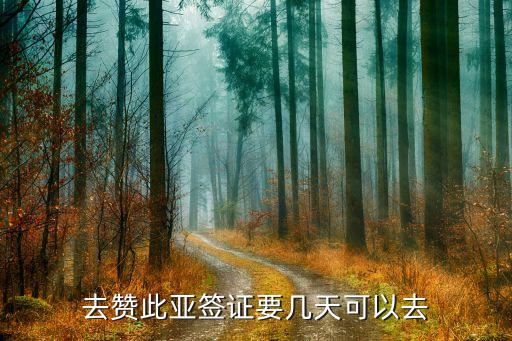 去赞此亚签证要几天可以去