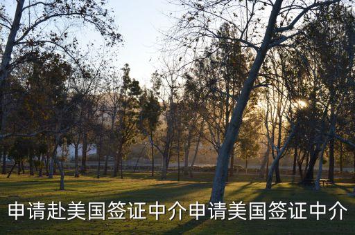 申请赴美国签证中介申请美国签证中介