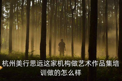 杭州美行思远这家机构做艺术作品集培训做的怎么样