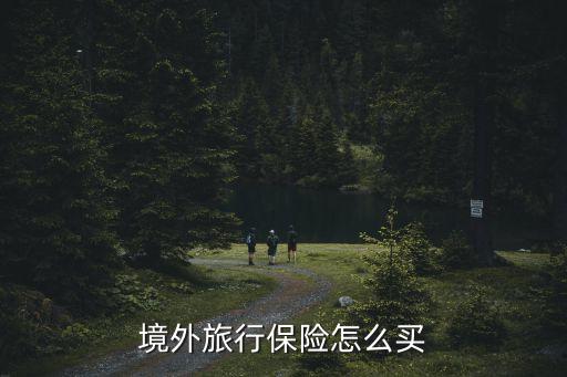境外旅行保险怎么买