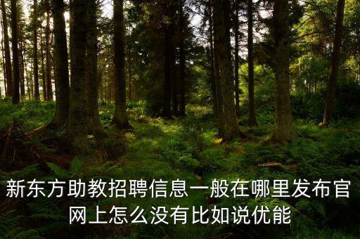 新东方助教招聘信息一般在哪里发布官网上怎么没有比如说优能