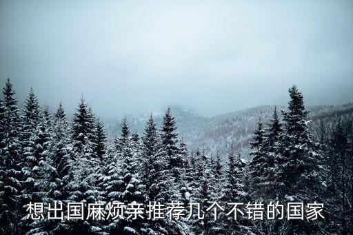 想出国麻烦亲推荐几个不错的国家