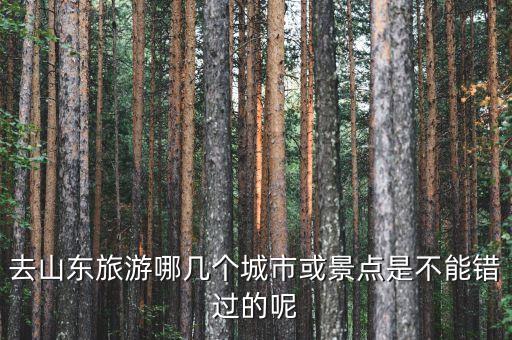 去山东旅游哪几个城市或景点是不能错过的呢