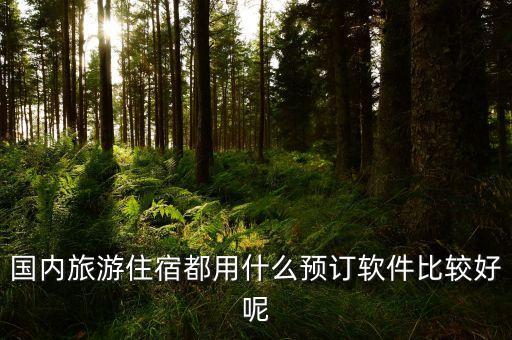 旅游订房在哪里订比较好，国内旅游住宿都用什么预订软件比较好呢