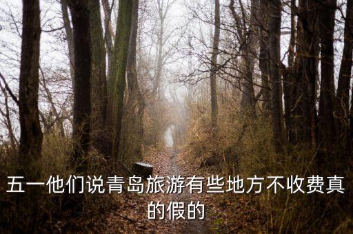 五一他们说青岛旅游有些地方不收费真的假的