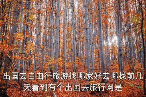 出国去自由行旅游找哪家好去哪找前几天看到有个出国去旅行网是