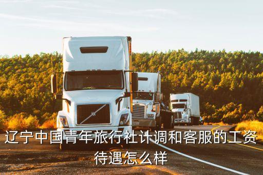 辽宁中国青年旅行社计调和客服的工资待遇怎么样