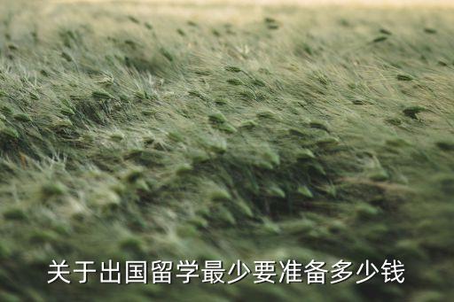 关于出国留学最少要准备多少钱