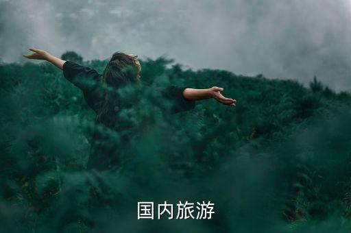 国内旅游