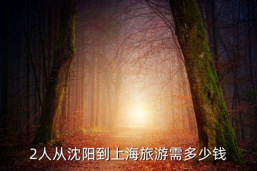 2人从沈阳到上海旅游需多少钱