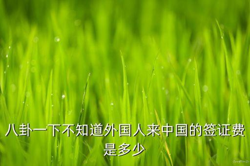 八卦一下不知道外国人来中国的签证费是多少