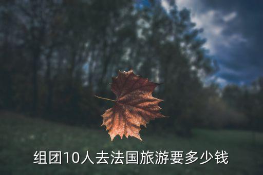 组团去法国旅游多少钱一个月，组团10人去法国旅游要多少钱