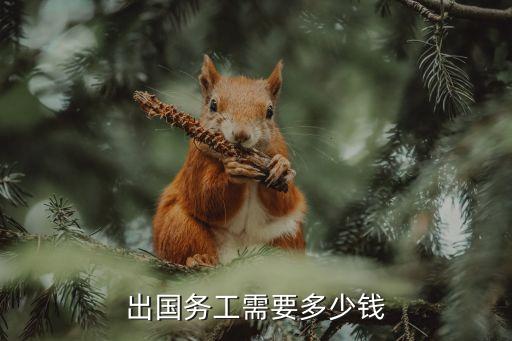出国打工一般需要多少费用呢，出国务工需要多少钱