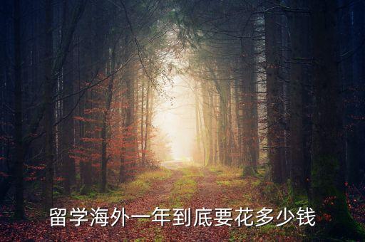 去出国留学一年费用，留学海外一年到底要花多少钱