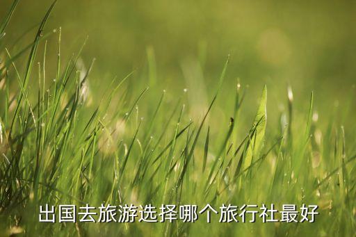 出国去旅游选择哪个旅行社最好