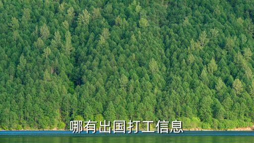 哪有出国打工信息