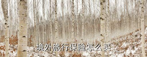 购买境外旅行保险的条件，境外旅行保险怎么买