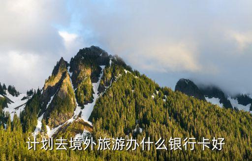 计划去境外旅游办什么银行卡好